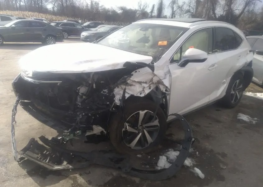 JTJGARDZ2L5003088 LEXUS NX 2020